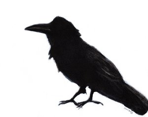 Raven at Baker Beach, 2023 circa (tecnica mista su carta) da Janel Bragg