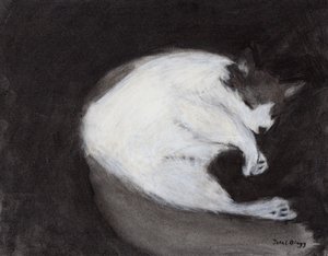 Thomas che fa un pisolino, c. 2018 (carboncino e pastello su carta) da Janel Bragg
