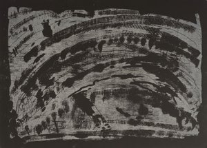Terra Avvelenata II, 2013 da Janet McKenzie