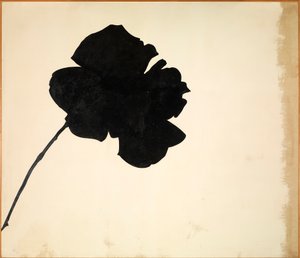 Senza titolo - Rosa nera da Jannis Kounellis