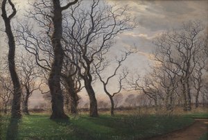 Ai margini di una quercia una mattina di primavera