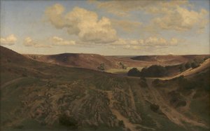 Paesaggio vicino a Nejsum in Vendsyssel da Janus La Cour