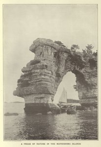 Una stranezza della natura nelle Isole Matsushima