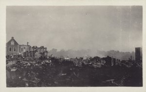 Conseguenze del Grande Terremoto del Kanto, Giappone, 1923
