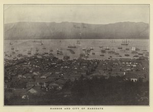 Porto e città di Hakodate