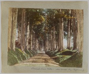 Strada Imaichi, Nikko, Giappone da Japanese Photographer