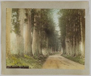 Strada Imaichi, Nikko, Giappone da Japanese Photographer