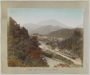 Nikko dall