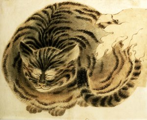 Gatto addormentato, pub. c.1850 (acquerello su carta) da Japanese Photographer