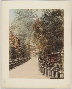 Lanterne di pietra, Nara, Giappone, c.1890 da Japanese Photographer