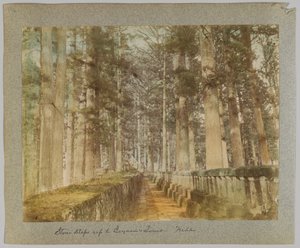 Scalini in pietra fino alla tomba di Ieyasu, Nikko, Giappone da Japanese Photographer