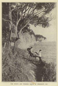 Le bianche e boscose scogliere della Baia del Mississippi da Japanese Photographer