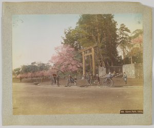 Parco Uyeno, Tokyo, Giappone da Japanese Photographer