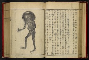 16084.d.15, f.24 Un Neneko Kappa, da 