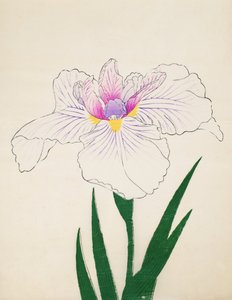 Akashi-no.-Ul, n.10, 1898 da Japanese School