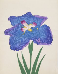 Azumabotan, No. 89, 1890 da Japanese School