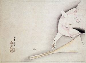 Gatto (disegno giapponese) da Japanese School