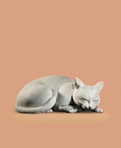 Gatto, tardo periodo Edo-inizio periodo Meiji da Japanese School