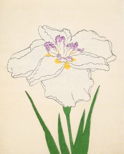 Cho-Hiyen, No. 91, 1890 da Japanese School