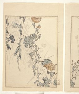 Crisantemi (stampa a blocchi di legno a colori) da Japanese School