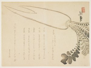 Ravanello Daikon, gennaio 1864 da Japanese School