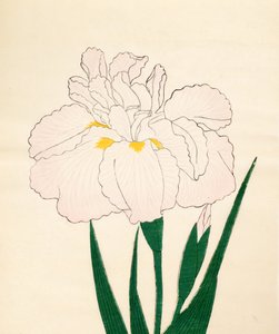 En-Yo-No-Ten, No. 73, 1890 da Japanese School