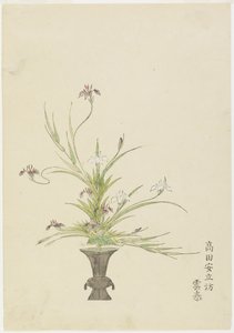 Composizione floreale di Takada Anritsub? Untai, Iris da Japanese School