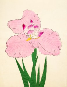 Gaisen, n. 90, 1890 da Japanese School