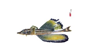 Gyotaku da Japanese School