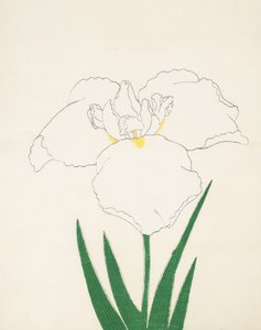 Hatsu-Shimo, n. 6, 1890 da Japanese School