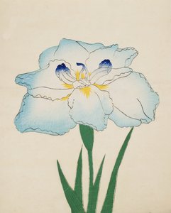 Issui-No-Gin, No. 34 da Japanese School