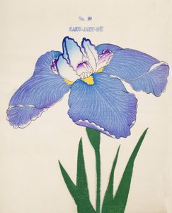 Kaku-Jaku-Ro, n.39, 1898 da Japanese School