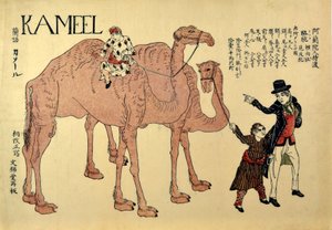 Kameel, pub. 1821