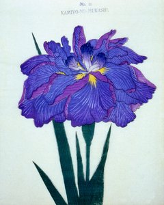 Kamiyo-no.-Mukashi, n.16, 1898 da Japanese School