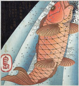 Carpa Koi; pub. c. 1820 da Japanese School