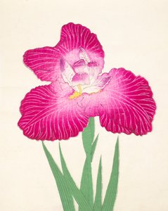Kyo-Kano.ko, n.24, 1898 da Japanese School