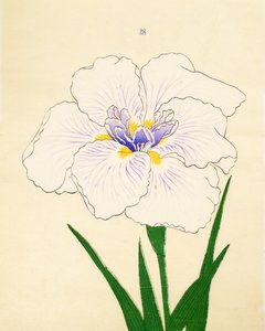 Manu-Zuru, n. 28, 1890 da Japanese School