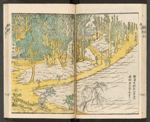Vedute di Yokohama da Japanese School