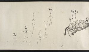 Or. 14872, f.29, Una tartaruga, da Yoshida Seisai da Japanese School