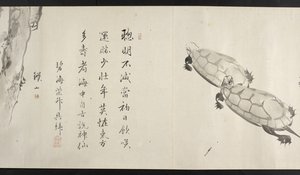 Due tartarughe, da Yoshida Seisai (rotolo)