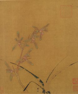 Orchidee da Japanese School