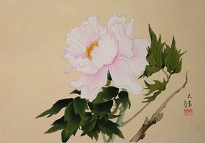 Peonia, pub. 1950 da Japanese School