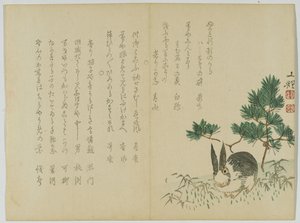 Coniglio sotto il Pino di Capodanno, c.1860 da Japanese School