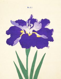 Saiwoga-Uma, No. 53, 1890 da Japanese School