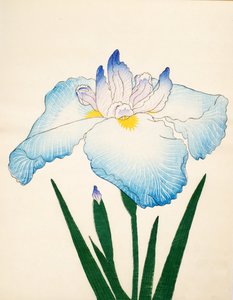 Sazanami, No. 68, 1890 da Japanese School