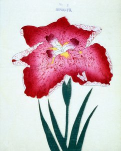 Senjo-To, n.5, 1898 da Japanese School