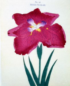 Shishi-no-Ikari, n.44, 1898 da Japanese School