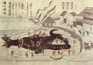 Smembramento di una balena, fine XIX secolo da Japanese School