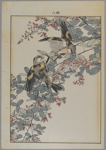 Due uccelli con fiori rosa, periodo Meiji, c.1868-1912 da Japanese School