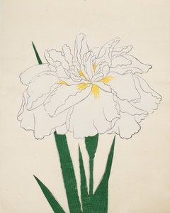 Ujaku-No-Nagisa, No. 61, 1890 da Japanese School